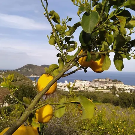 Belvedere アパート *