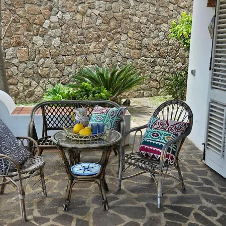 Belvedere リーパリ