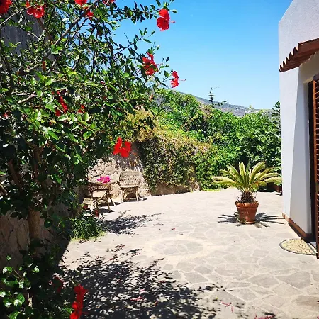 Belvedere リーパリ